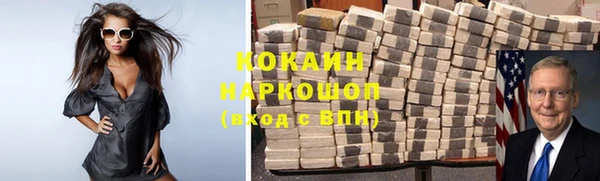 хмурый Верея