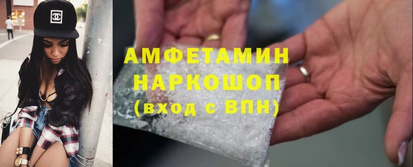 хмурый Верея