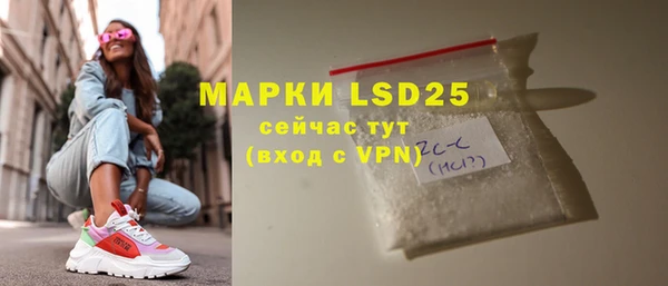 хмурый Верея