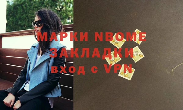хмурый Верея