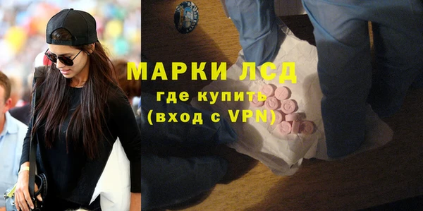 хмурый Верея