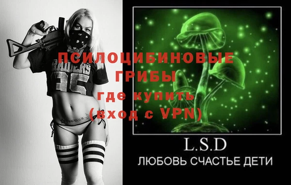 хмурый Верея