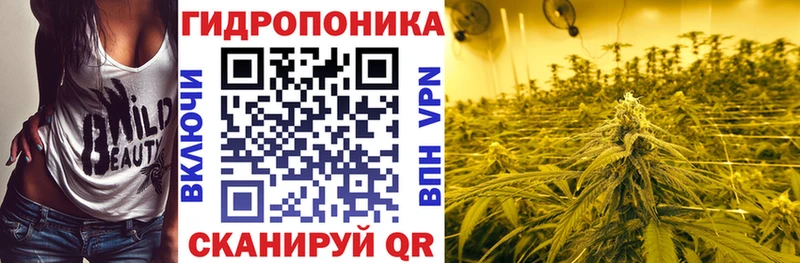 Купить  Кондопога  Бошки марихуана ГИДРОПОН 